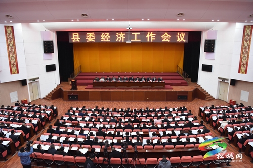 縣委經濟工作會議召開