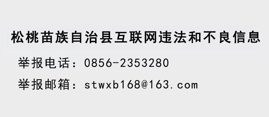 大坪場鎮：大豆玉米帶狀復合種植助力穩糧增豆