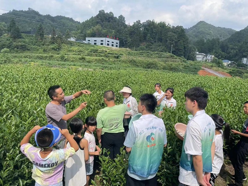 實現年均增收10萬余元，秀山這位殘疾人的奮斗故事很勵志