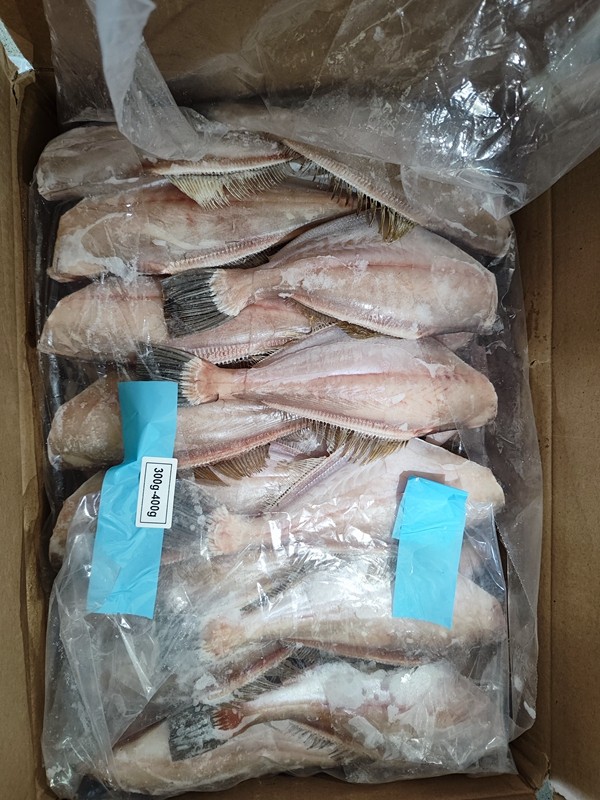 斯里蘭卡馬面魚首個冷鏈集裝箱抵達秀山