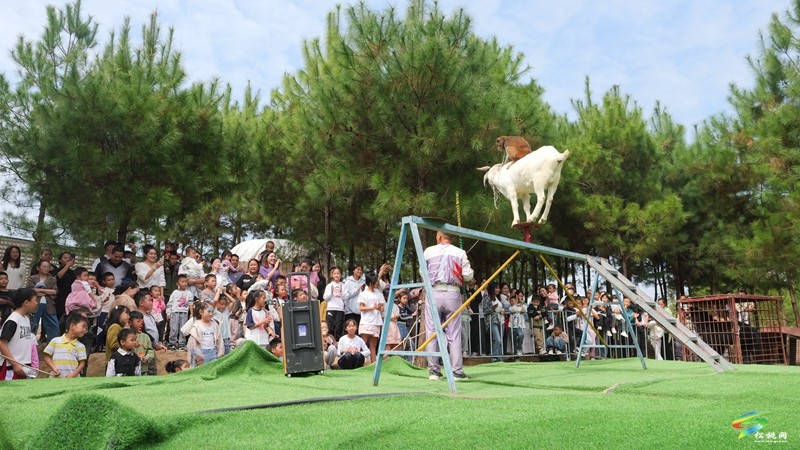 國慶嗨翻天，遛娃又添打卡點！松桃綠宸動物園熱鬧非凡！