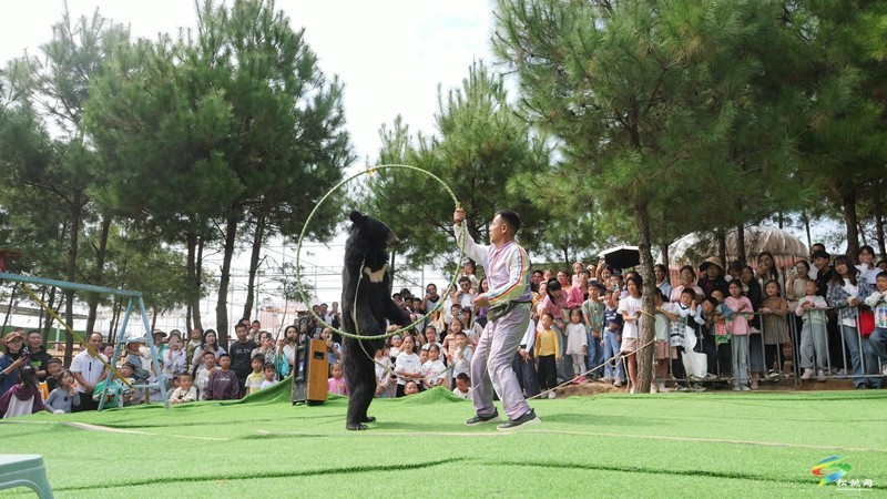 國慶嗨翻天，遛娃又添打卡點！松桃綠宸動物園熱鬧非凡！