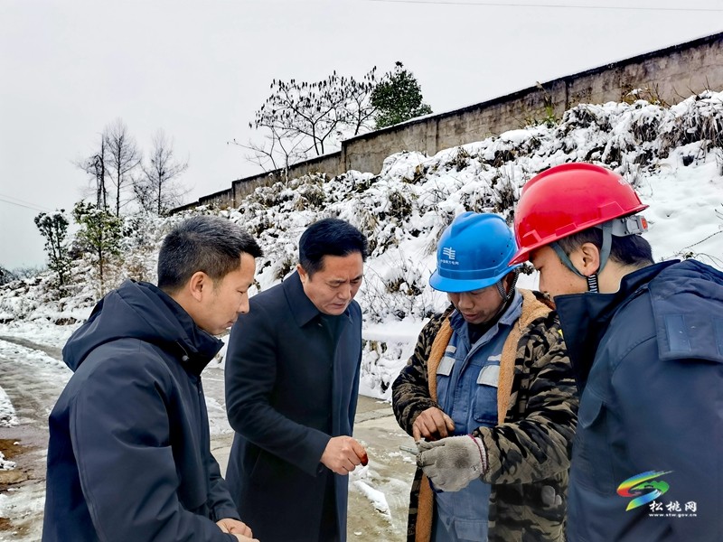 陳琪調研督導低溫雨雪凝凍天氣防范應對工作