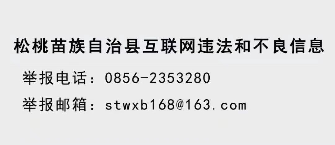 陳琪調研督導低溫雨雪凝凍天氣防范應對工作