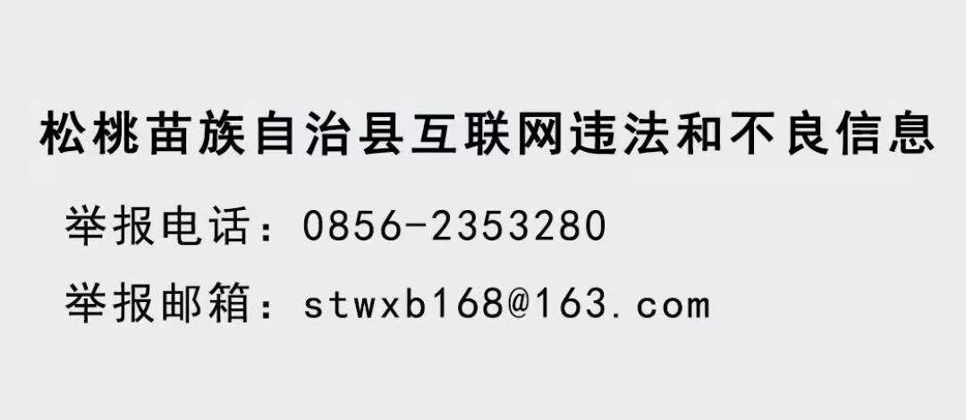 這十年，我們闊步邁向網絡強國