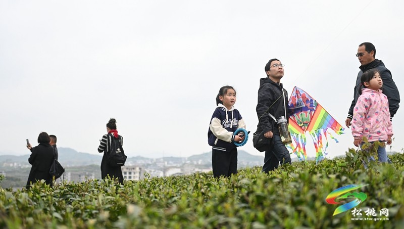 【網絡中國節·清明】松桃：踏青游玩正當時