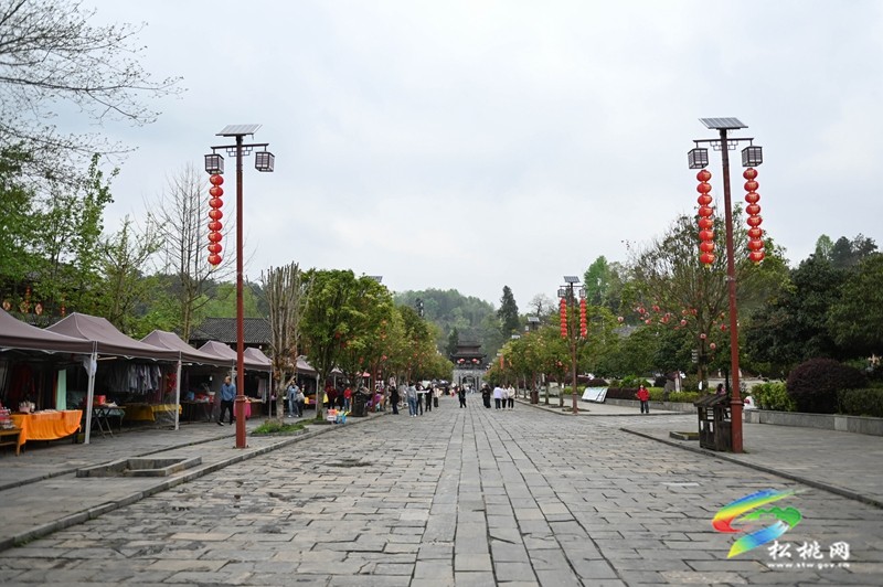 【網絡中國節·清明】松桃：踏青游玩正當時