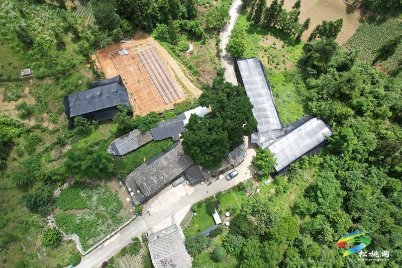 瓦溪鄉：小菌棒釋放大“蘑”力