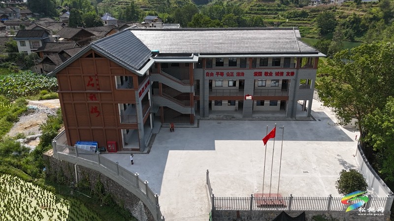迓駕鎮：鄉村“擺渡人”任達兵