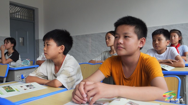 迓駕鎮：鄉村“擺渡人”任達兵