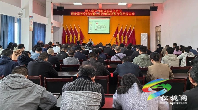 松桃:縣委宣講團分赴各鄉鎮(街道)宣講習近平總書記在貴州考察時的重要講話精神