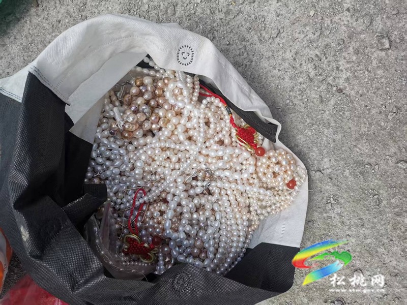 黃板鎮：養殖珍珠蚌 助力鄉村全面振興
