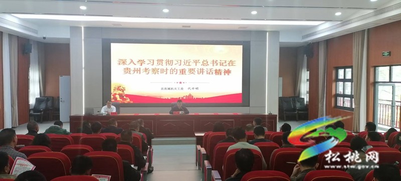 松桃:縣委宣講團分赴各鄉鎮(街道)宣講習近平總書記在貴州考察時的重要講話精神