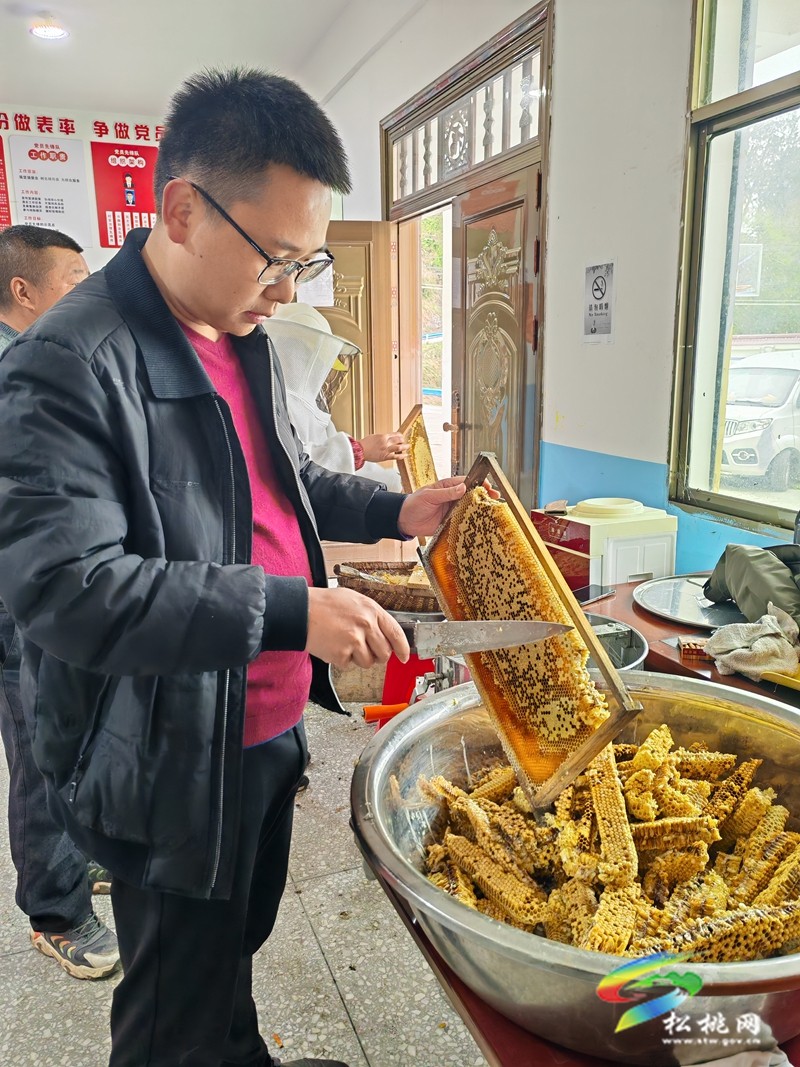 甘龍鎮大樹村：依托生態優勢??發展蜂蜜產業