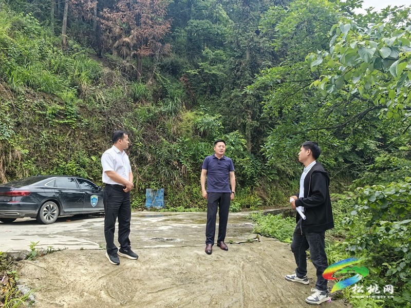 陳琪到冷水溪鎮調研督導地質災害防治工作